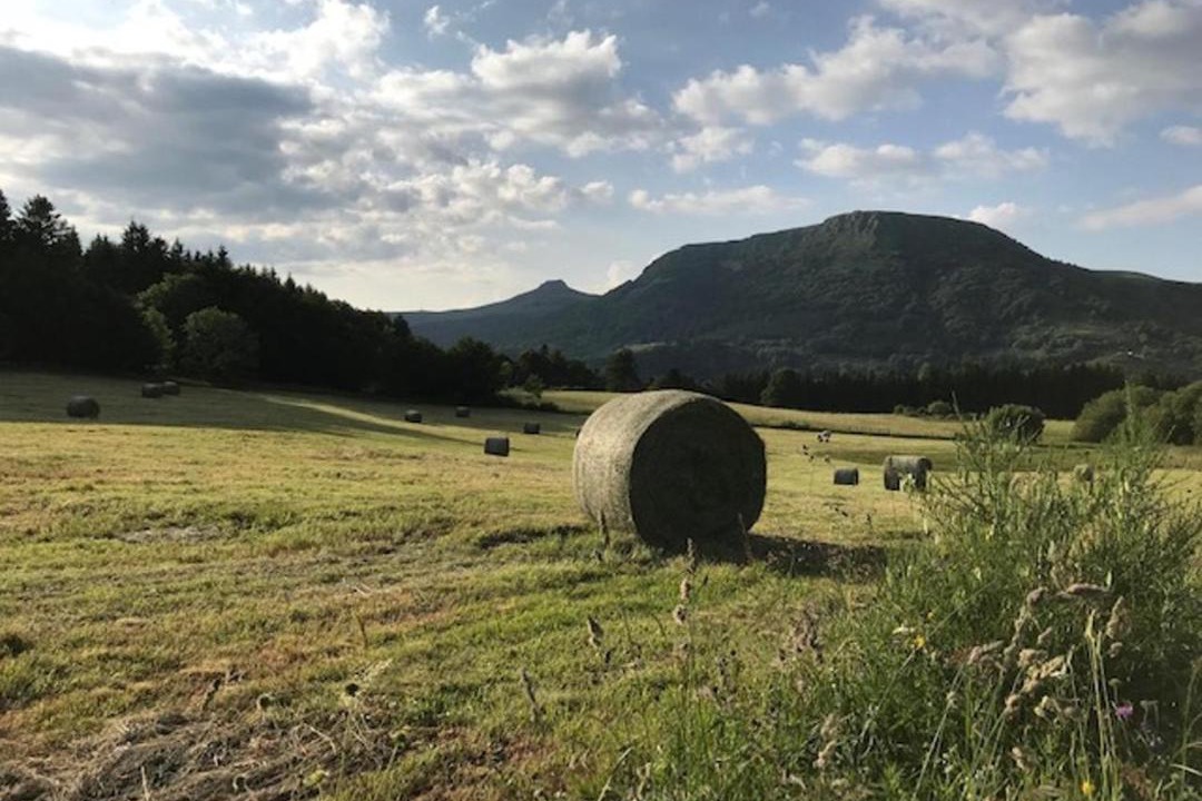 Photo of Others in Mont-Dore