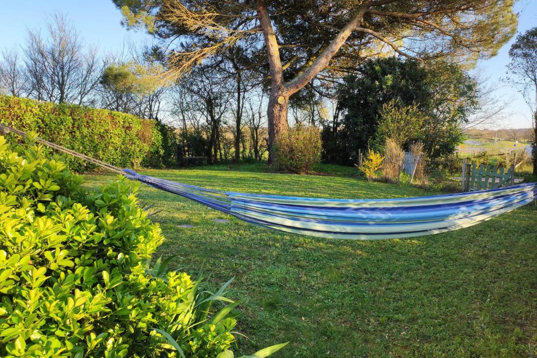 Photo of Outdoor in Frossay