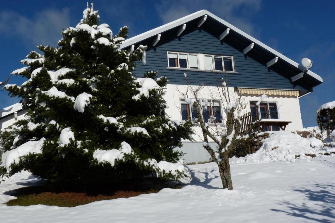 Photo of Buildings in Gerardmer