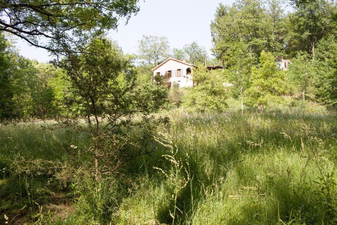 Photo of Outdoor in Vernoux-en-Vivarais