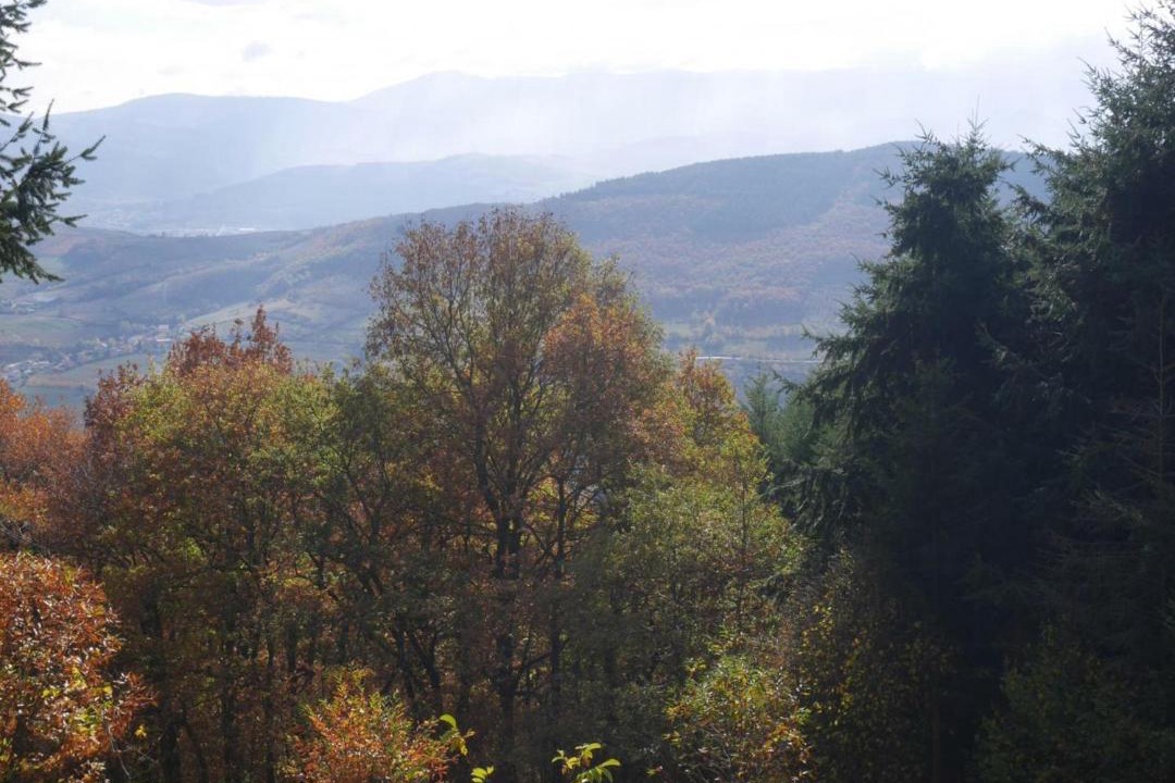 Photo of Outdoor in Saint-Romain-en-Jarez