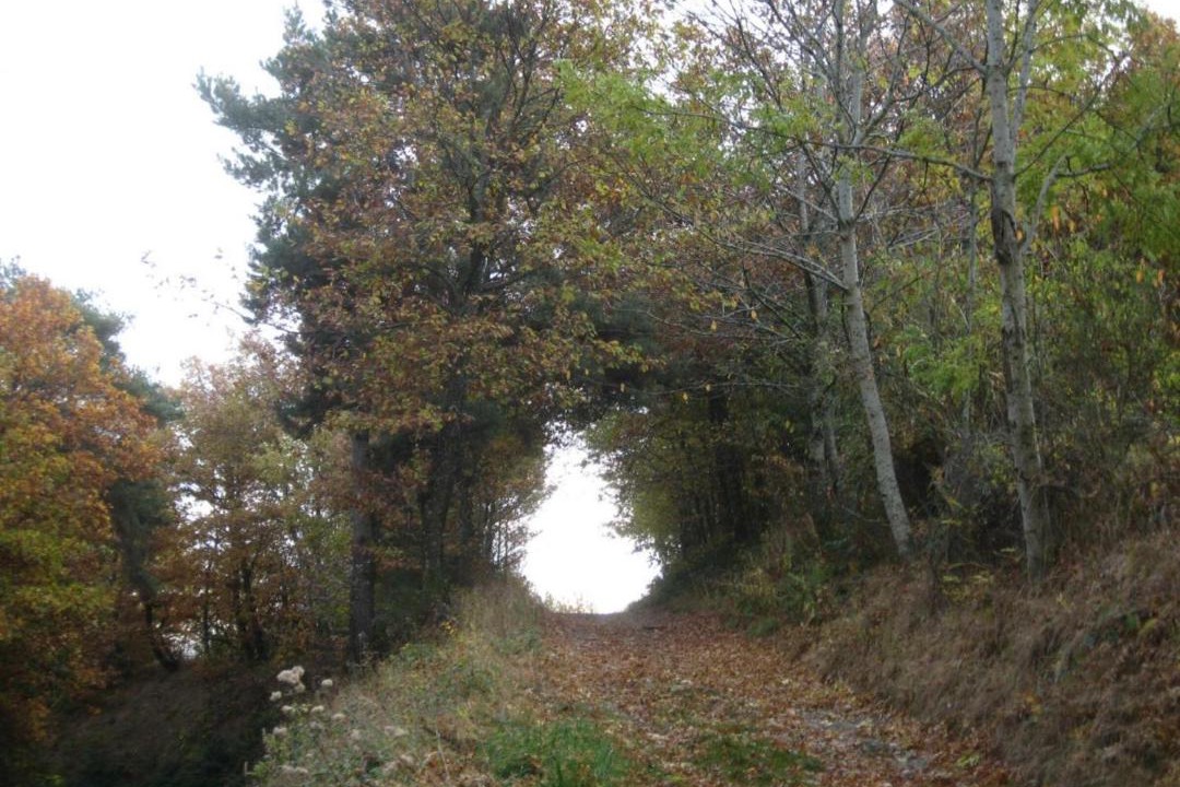 Photo of Outdoor in Saint-Romain-en-Jarez