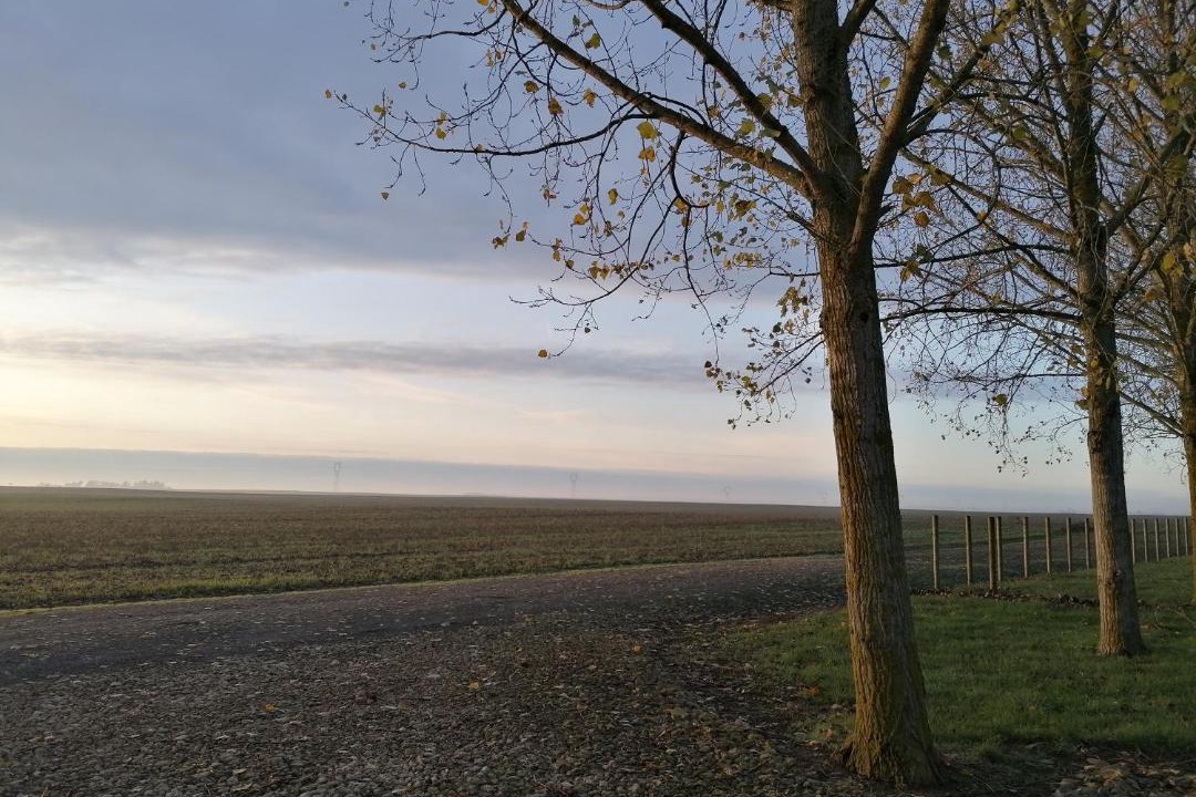 Photo of Others in La Chapelle-Saint-Martin-en-Plaine