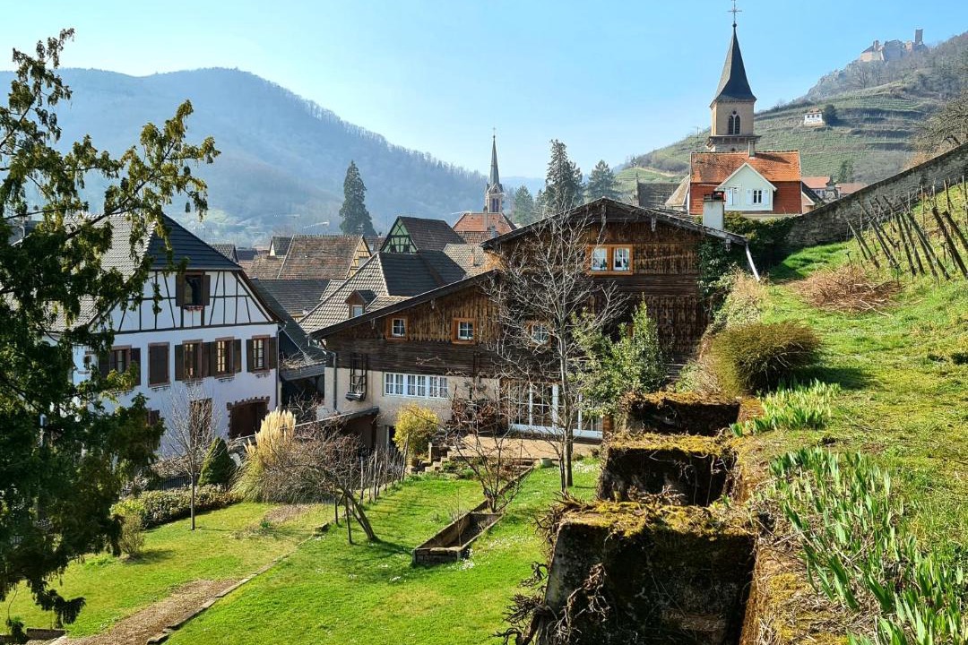 Photo of Others in Ribeauville