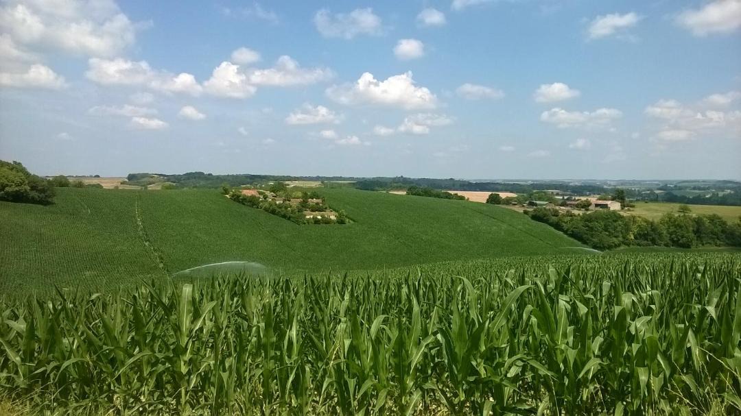 Photo of Others in Nanteuil-de-Bourzac