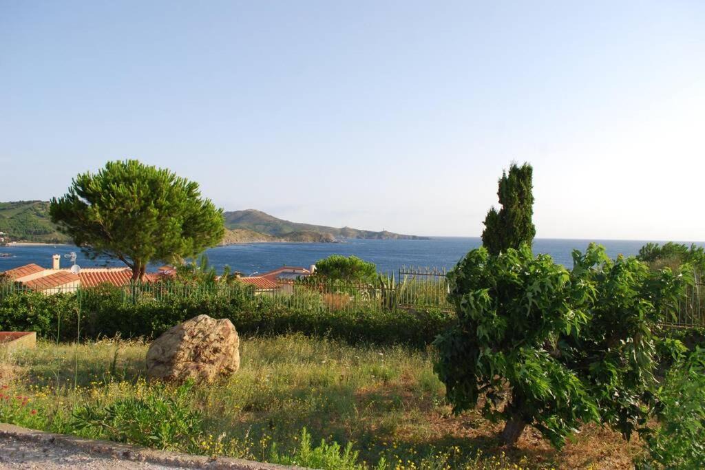 Photo of Others in Banyuls-sur-Mer