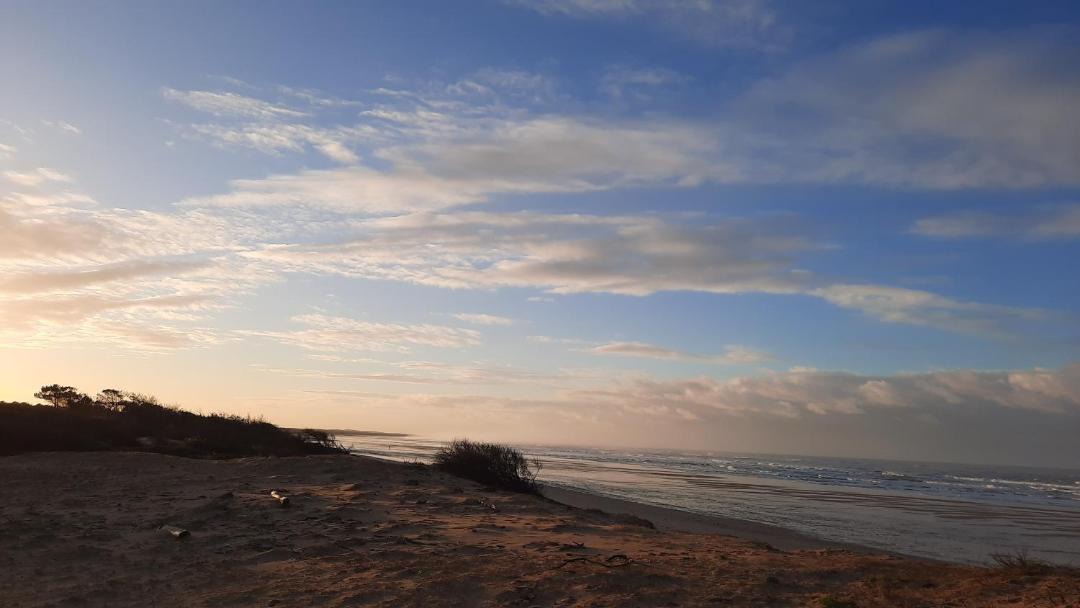 Photo of Others in Dolus-d'Oleron