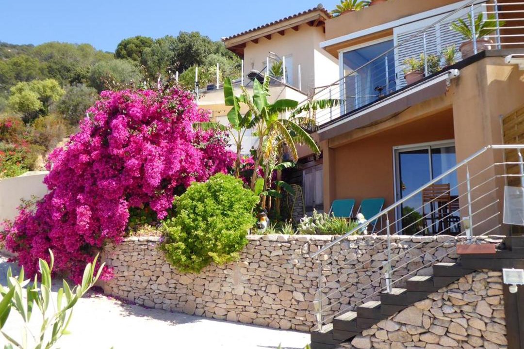 Photo of Buildings in Ajaccio