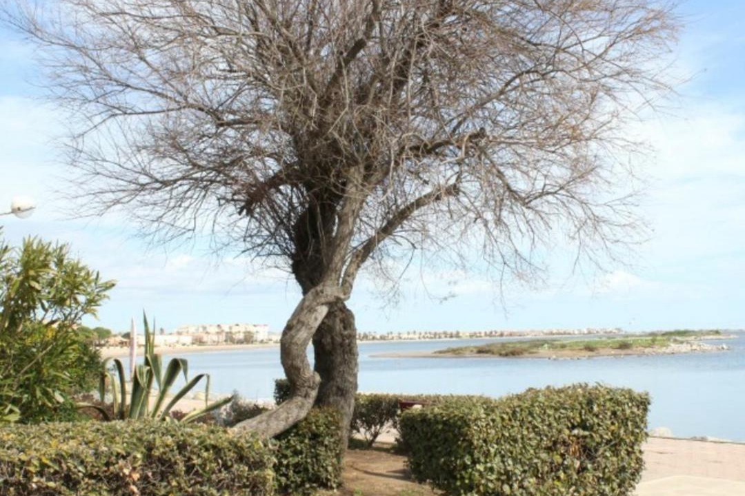 Photo of Outdoor in Port Rive Gauche