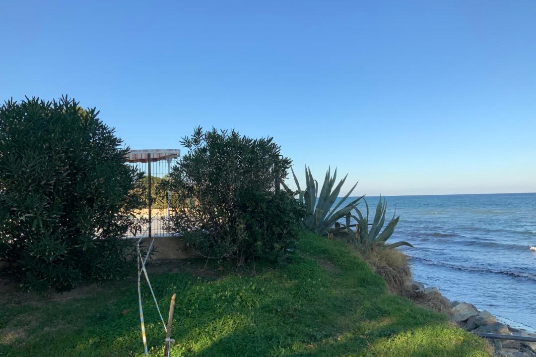 Photo of Others in Santa-Lucia-di-Moriani
