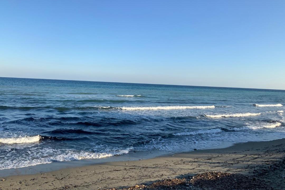 Photo of Others in Santa-Lucia-di-Moriani