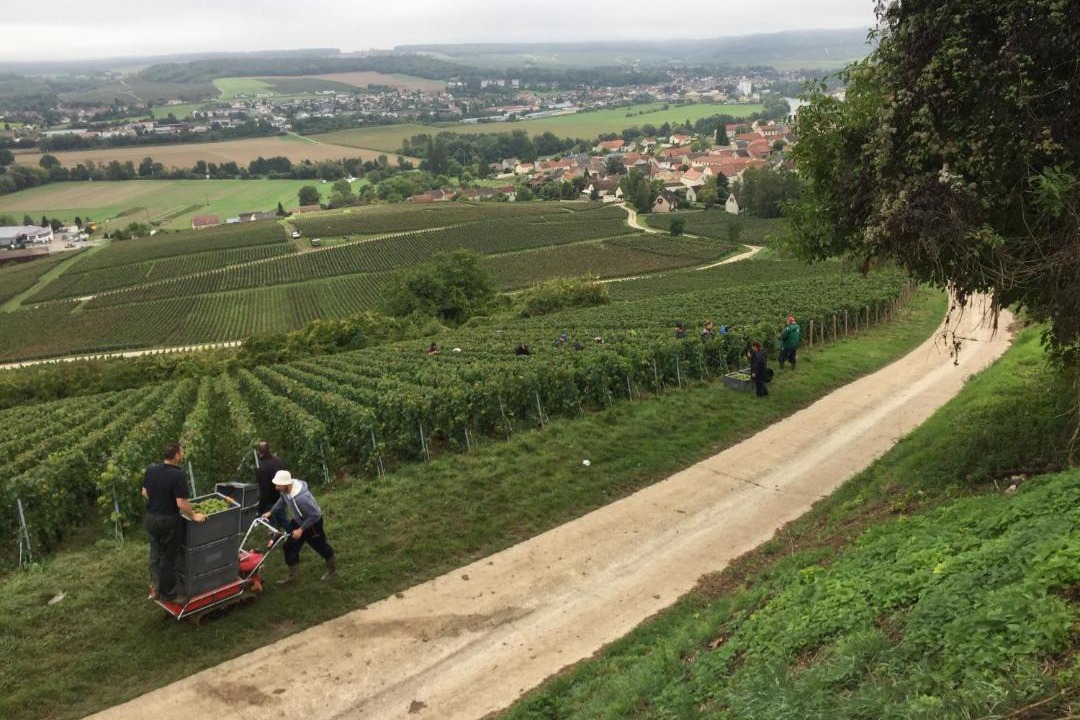 Photo of Others in Vincelles