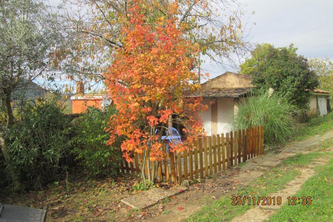 Photo of Others in Salernes