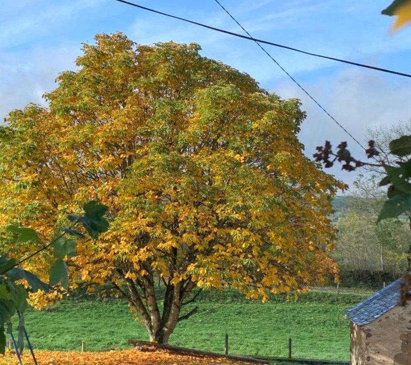 Photo of Outdoor in Marchastel