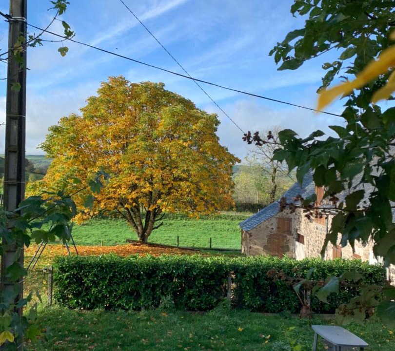Photo of Outdoor in Marchastel