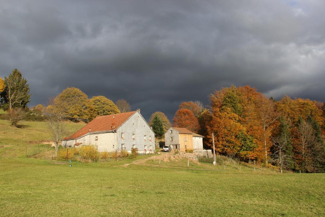 Photo of Others in Saulxures-sur-Moselotte