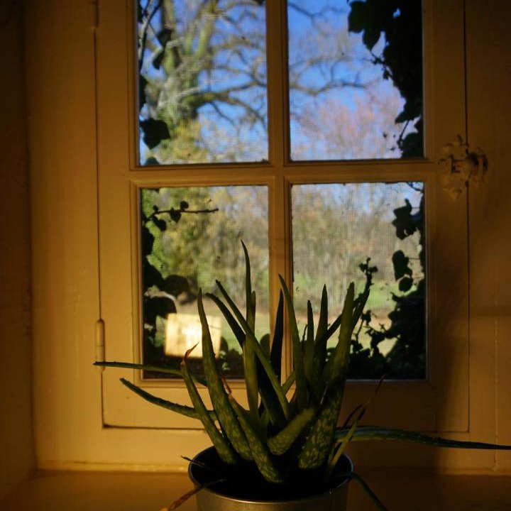 Photo of Others in Sarlande