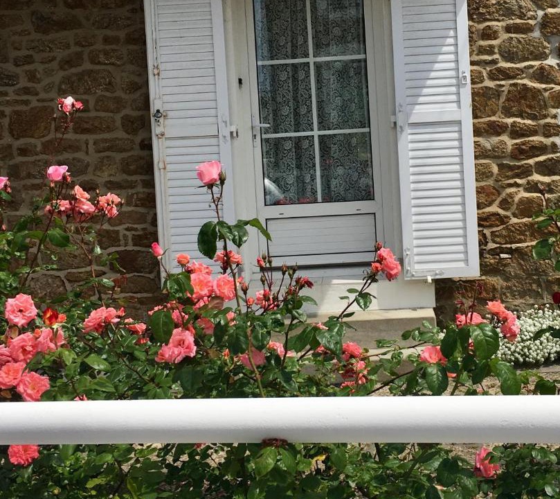 Photo of Buildings in Parame