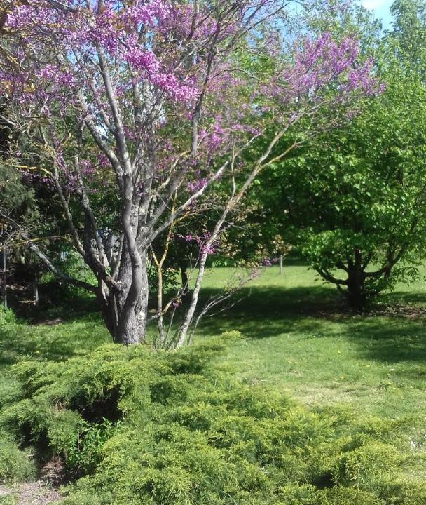 Photo of Outdoor in Pezens