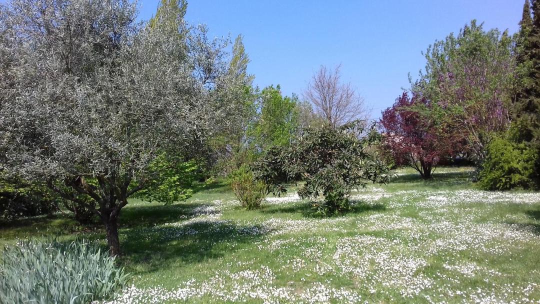 Photo of Outdoor in Pezens
