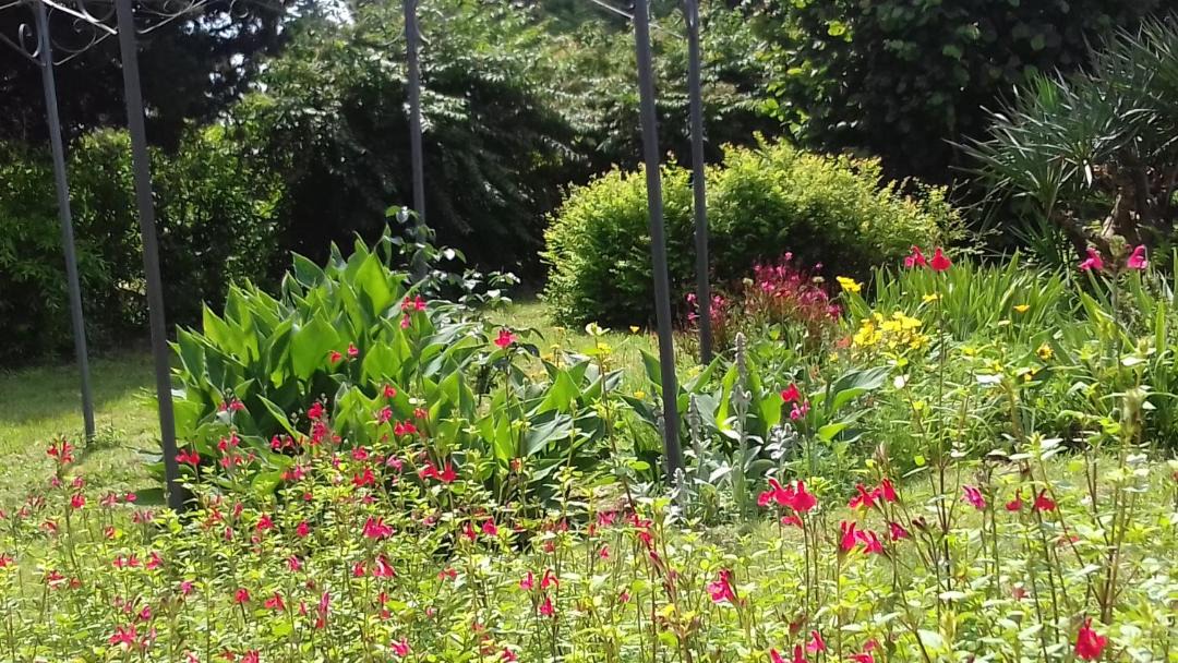 Photo of Outdoor in Pezens