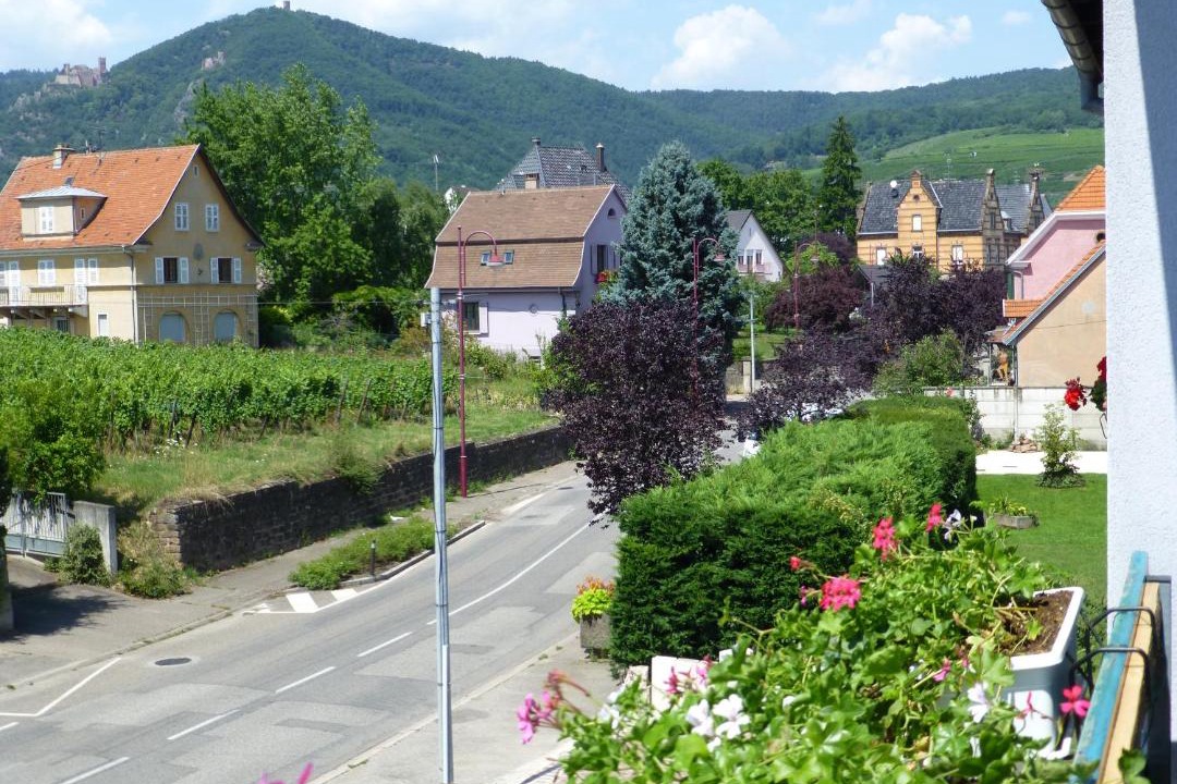 Photo of Others in Ribeauville